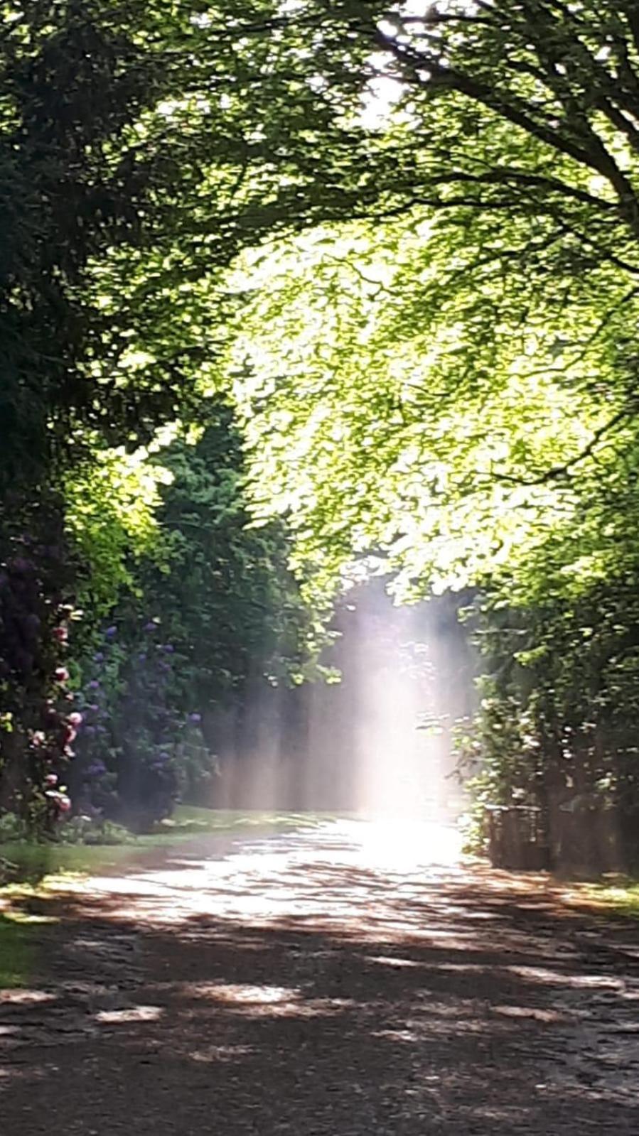 Altmarkblick Erbenhausen 外观 照片